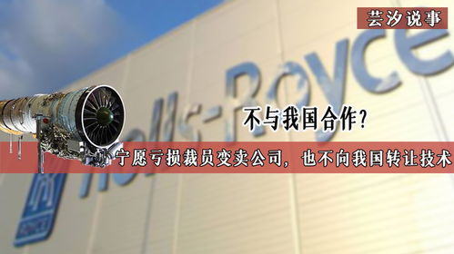 技術壁壘背后的博弈 當合作遇冷，企業走向何方？